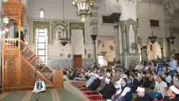 اخبار مصر