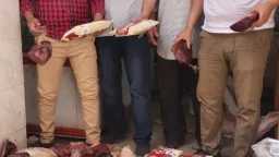 المحافظات