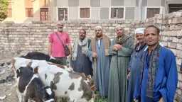 المحافظات