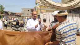 المحافظات
