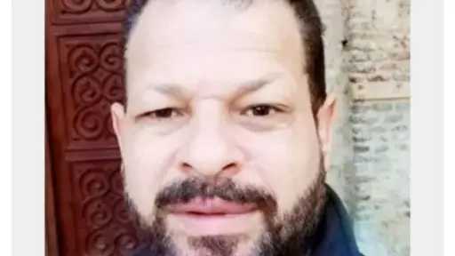 فن