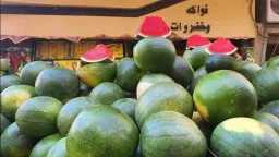 اخبار مصر