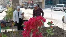 المحافظات