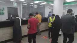 اخبار مصر