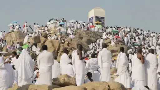 تحقيقات