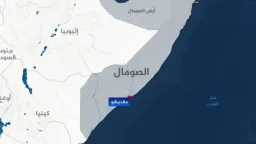 شئون عربية