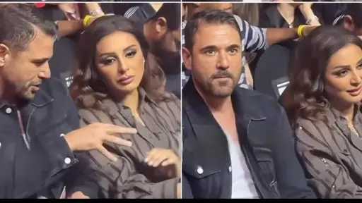 فن