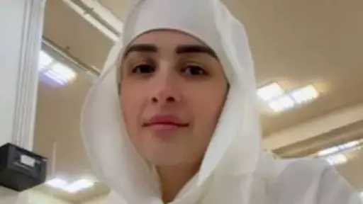 فن