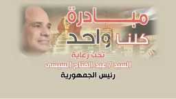 امن مصر