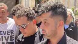 فن