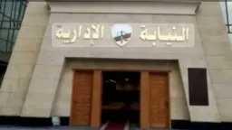 امن مصر