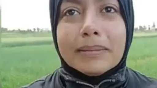 تحقيقات