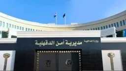 امن مصر