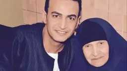 فن
