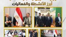 امن مصر