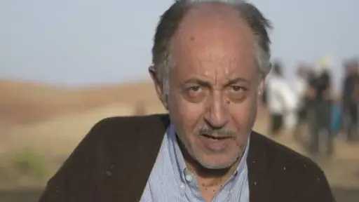 فن