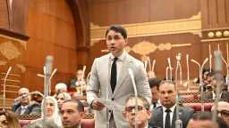 اخبار مصر