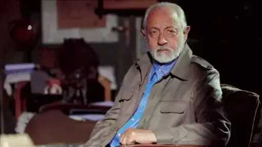 فن