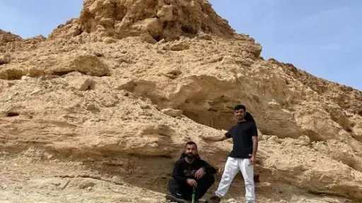 شئون عربية