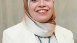 اخبار مصر