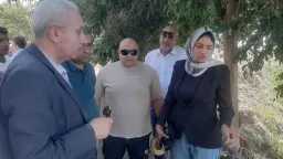 المحافظات