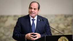 اخبار مصر