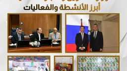 امن مصر