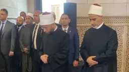 تحقيقات