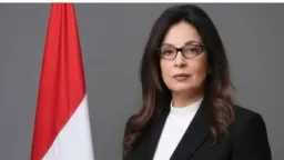 اخبار مصر
