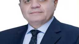 امن مصر