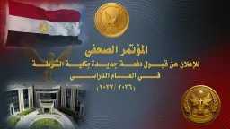 امن مصر