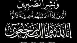 اخبار مصر