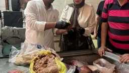 المحافظات