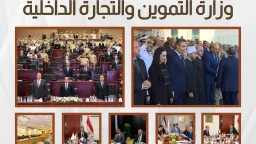 اخبار مصر