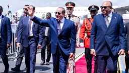 اخبار مصر