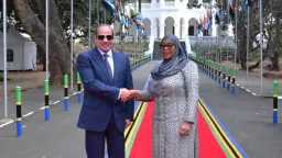 اخبار مصر