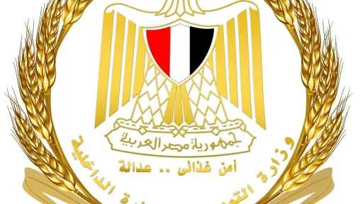 تحقيقات