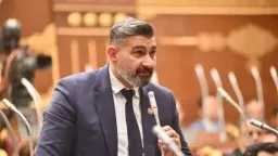 فن