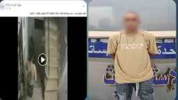 المحافظات