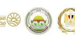 اخبار مصر