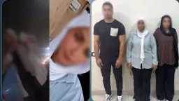 تحقيقات