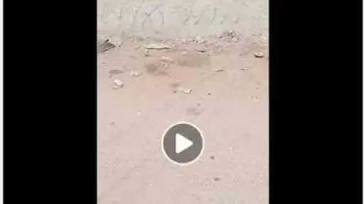 تحقيقات