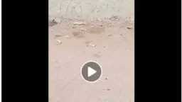 تحقيقات