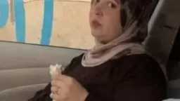 السوشيال