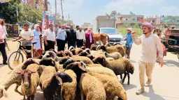 المحافظات