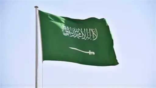 شئون عربية