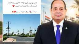 السوشيال
