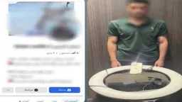 السوشيال