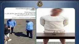 تحقيقات