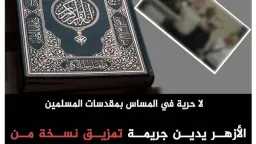 اخبار مصر